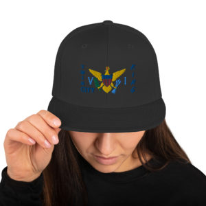 TWIN CITY KING - Snapback Hat